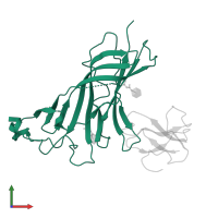Neuronal acetylcholine receptor subunit alpha-9 in PDB entry 4uy2, assembly 1, front view.