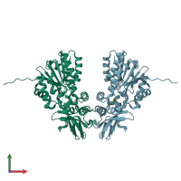 PDB entry 4uy7 coloured by chain, front view.