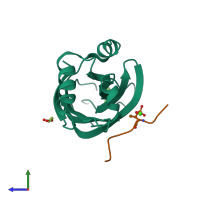 PDB entry 4v11 coloured by chain, side view.