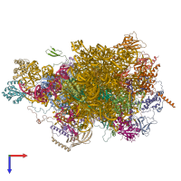 PDB entry 4v19 coloured by chain, top view.