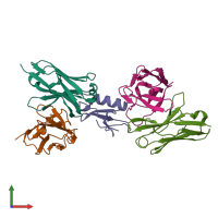 PDB entry 4v1d coloured by chain, front view.