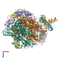 PDB entry 4v1n coloured by chain, top view.