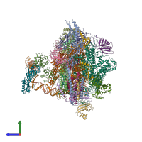 PDB entry 4v1o coloured by chain, side view.