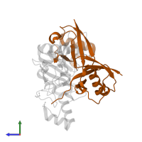 Ubiquitin in PDB entry 4v3l, assembly 1, side view.