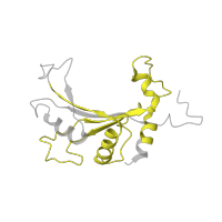 The deposited structure of PDB entry 4v3p contains 1 copy of Pfam domain PF00673 (ribosomal L5P family C-terminus) in Ribosomal protein L11. Showing 1 copy in chain LA [auth LE].