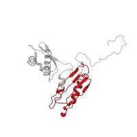 The deposited structure of PDB entry 4v3p contains 1 copy of Pfam domain PF00189 (Ribosomal protein S3, C-terminal domain) in 40S ribosomal protein S3. Showing 1 copy in chain C [auth SB].