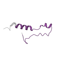 The deposited structure of PDB entry 4v3p contains 1 copy of Pfam domain PF00832 (Ribosomal L39 protein) in Ribosomal protein L39. Showing 1 copy in chain GB [auth Lo].