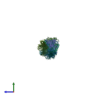 PDB entry 4v41 coloured by chain, side view.