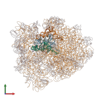 PDB entry 4v42 coloured by chain, front view.