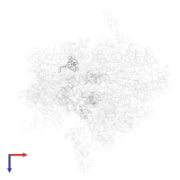 Small ribosomal subunit protein uS17 in PDB entry 4v42, assembly 1, top view.