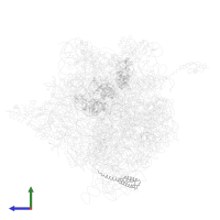 Small ribosomal subunit protein bS20 in PDB entry 4v42, assembly 1, side view.