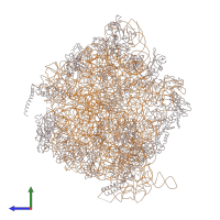 PDB entry 4v47 coloured by chain, side view.