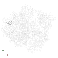 Large ribosomal subunit protein bL20 in PDB entry 4v47, assembly 1, front view.