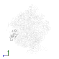 Large ribosomal subunit protein uL2 in PDB entry 4v47, assembly 1, side view.