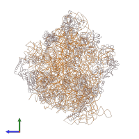 PDB entry 4v48 coloured by chain, side view.