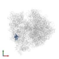 30S ribosomal protein S8 in PDB entry 4v49, assembly 1, front view.