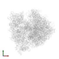 50S ribosomal protein L14 in PDB entry 4v49, assembly 1, front view.