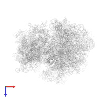 50S ribosomal protein L14 in PDB entry 4v49, assembly 1, top view.