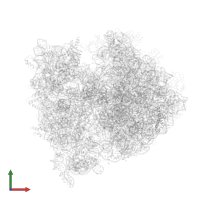 50S ribosomal protein L29 in PDB entry 4v49, assembly 1, front view.