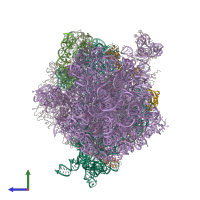 PDB entry 4v4a coloured by chain, side view.