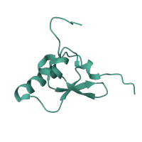 The deposited structure of PDB entry 4v4b contains 1 copy of Pfam domain PF00203 (Ribosomal protein S19) in Small ribosomal subunit protein uS19. Showing 1 copy in chain Q [auth AS].