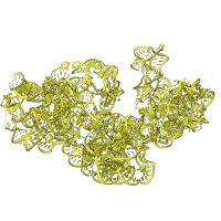 The deposited structure of PDB entry 4v4b contains 1 copy of Rfam domain RF00177 (Bacterial small subunit ribosomal RNA) in 18S Ribosomal RNA. Showing 1 copy in chain A [auth AA].