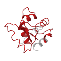 The deposited structure of PDB entry 4v4b contains 1 copy of Pfam domain PF01248 (Ribosomal protein L7Ae/L30e/S12e/Gadd45 family) in Large ribosomal subunit protein eL8A. Showing 1 copy in chain Z [auth BG].