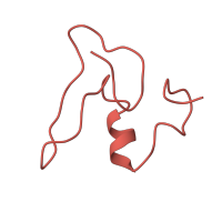 The deposited structure of PDB entry 4v4b contains 1 copy of Pfam domain PF01246 (Ribosomal protein L24e) in Large ribosomal subunit protein eL24A. Showing 1 copy in chain LA [auth BS].