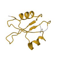 The deposited structure of PDB entry 4v4b contains 1 copy of Pfam domain PF00276 (Ribosomal protein L23) in Large ribosomal subunit protein uL23. Showing 1 copy in chain MA [auth BT].