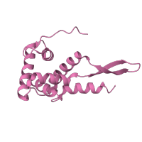 The deposited structure of PDB entry 4v4b contains 1 copy of Pfam domain PF00177 (Ribosomal protein S7p/S5e) in Small ribosomal subunit protein uS7. Showing 1 copy in chain G [auth AG].