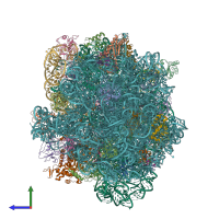 PDB entry 4v4b coloured by chain, side view.