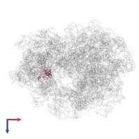 40S ribosomal protein S23 in PDB entry 4v4b, assembly 1, top view.