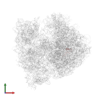 50S ribosomal protein L34 in PDB entry 4v4g, assembly 1, front view.