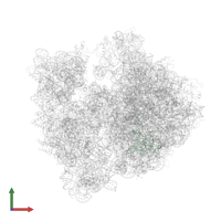 Large ribosomal subunit protein uL3 in PDB entry 4v4h, assembly 1, front view.