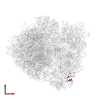 Small ribosomal subunit protein bS16 in PDB entry 4v4i, assembly 1, front view.