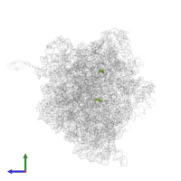 Modified residue 7MG in PDB entry 4v4i, assembly 1, side view.