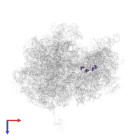 Modified residue 5MC in PDB entry 4v4j, assembly 1, top view.