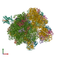 PDB entry 4v4n coloured by chain, front view.