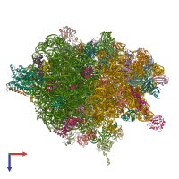 PDB entry 4v4n coloured by chain, top view.