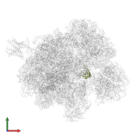 30S ribosomal protein S11P in PDB entry 4v4n, assembly 1, front view.