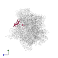 50S ribosomal protein L3P in PDB entry 4v4n, assembly 1, side view.