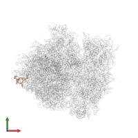 50S ribosomal protein L24 in PDB entry 4v4p, assembly 1, front view.