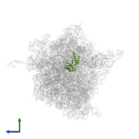 Small ribosomal subunit protein uS3 in PDB entry 4v4p, assembly 1, side view.