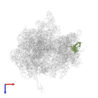 Small ribosomal subunit protein uS3 in PDB entry 4v4p, assembly 1, top view.