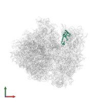 Small ribosomal subunit protein uS7 in PDB entry 4v4p, assembly 1, front view.