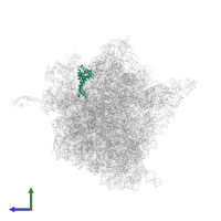 Small ribosomal subunit protein uS7 in PDB entry 4v4p, assembly 1, side view.