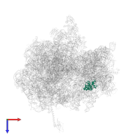 Small ribosomal subunit protein uS7 in PDB entry 4v4p, assembly 1, top view.