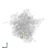 30S ribosomal protein S17 in PDB entry 4v4p, assembly 1, side view.