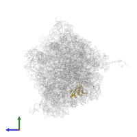 Small ribosomal subunit protein uS8 in PDB entry 4v4r, assembly 1, side view.