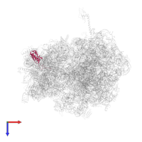 Small ribosomal subunit protein uS9 in PDB entry 4v4r, assembly 1, top view.